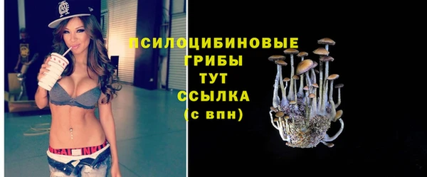 бошки Алексин