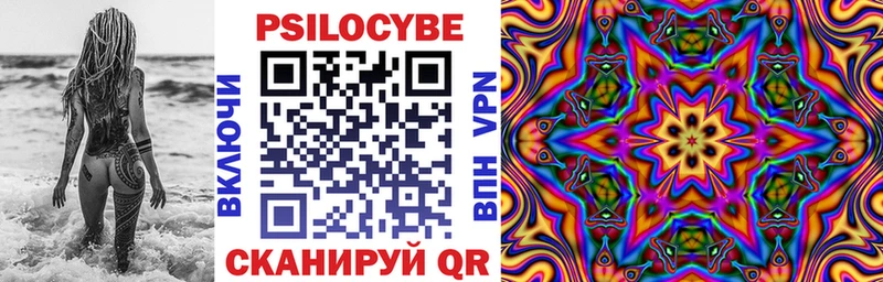 сайты даркнета клад  Болохово  Галлюциногенные грибы Psilocybe 